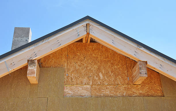 Best Storm Damage Siding Repair  in Brooklyn Center, MN